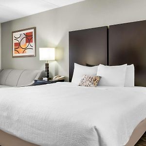 King Room Sofa Bed